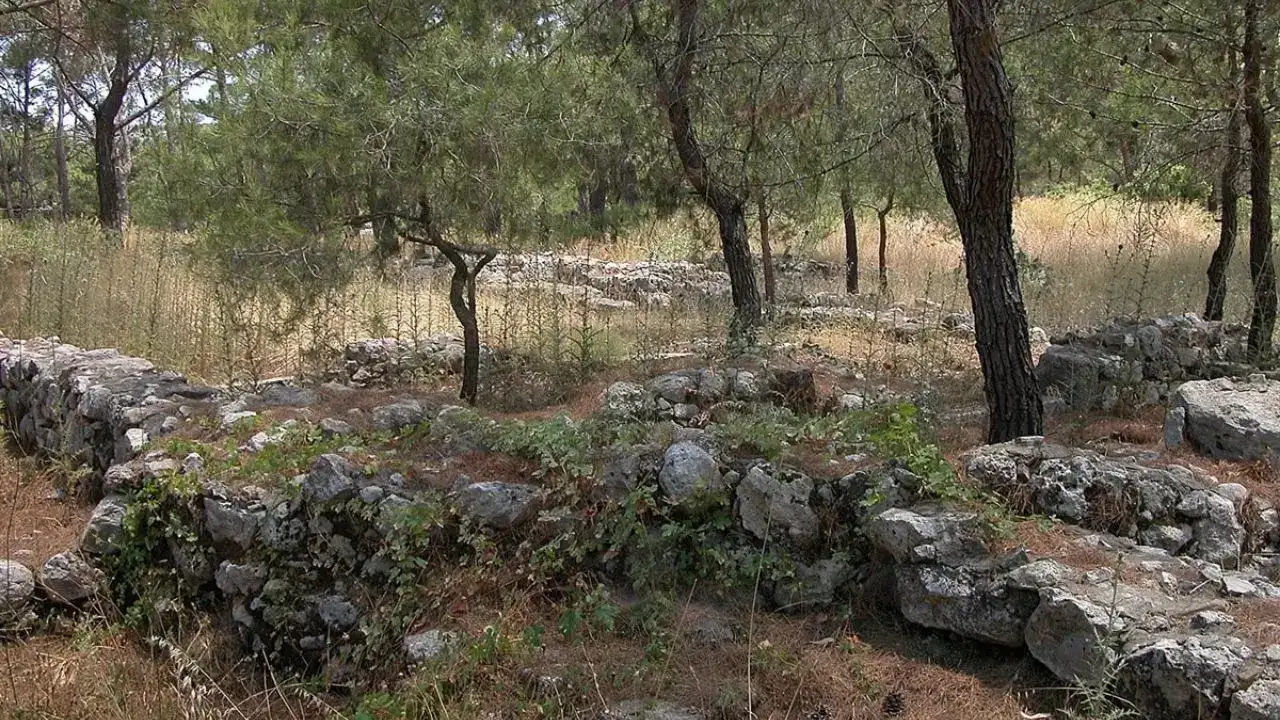 Kemer Ayışığı Koyu’nda Tarihi Miras ve Doğa İçin Çağrı 2